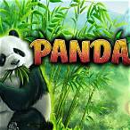 panda slot png